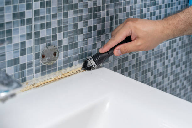 Best Affordable Mold Removal  in Chesterbrook, PA