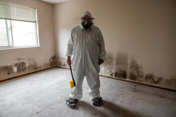 Best Mold Damage Repair  in Chesterbrook, PA